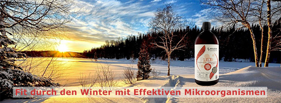 Fit durch den Winter mit Effektiven Mikroorganismen